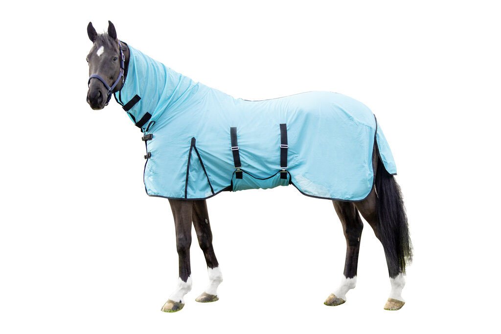 Couverture anti-mouches -Aqua- - Aqua (2)