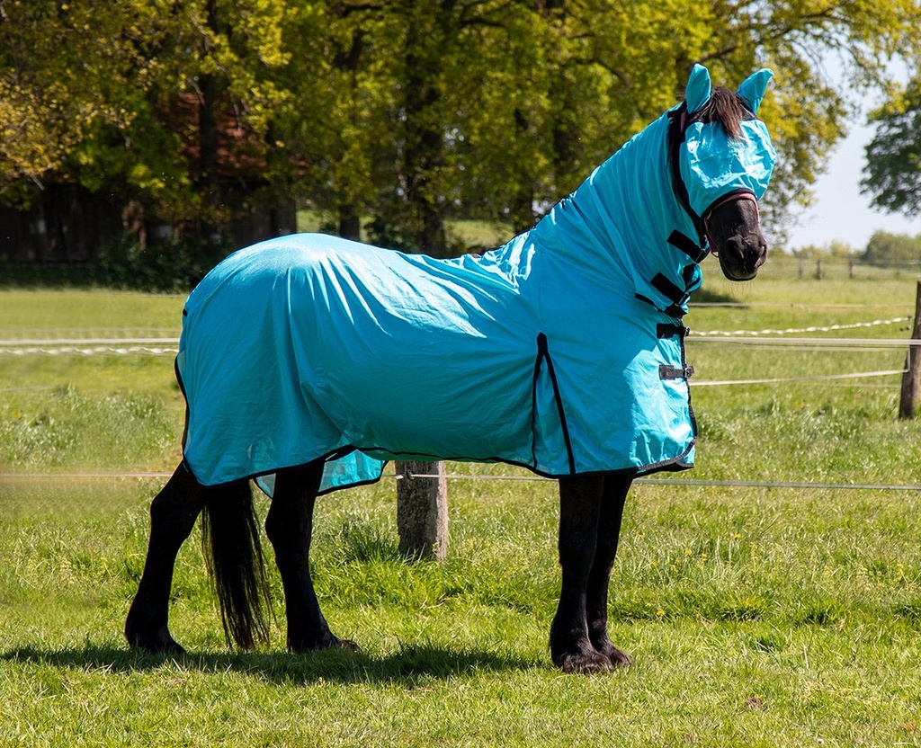 Couverture anti-mouches -Aqua- - Aqua (3)