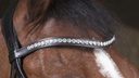 Bridon NORTON PRO "Strass"