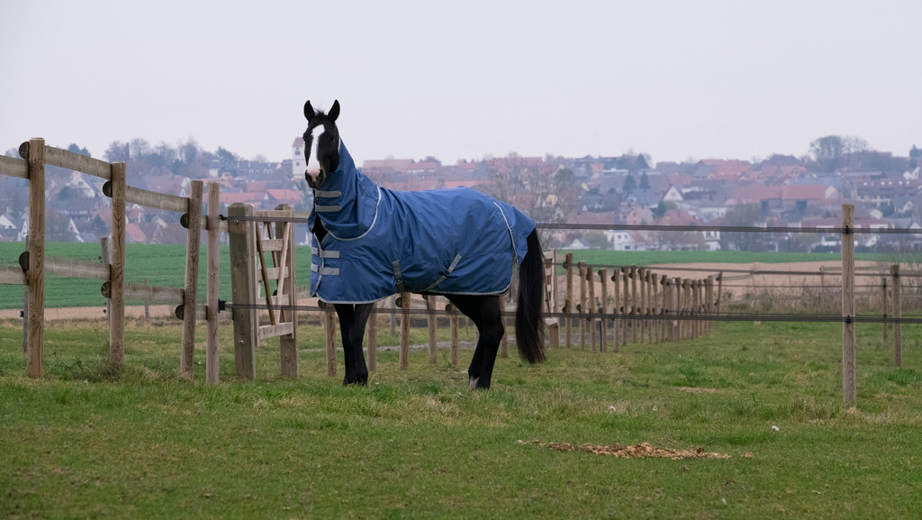 Couvre-cou EQUITHÈME "TYREX 600D", recyclé
