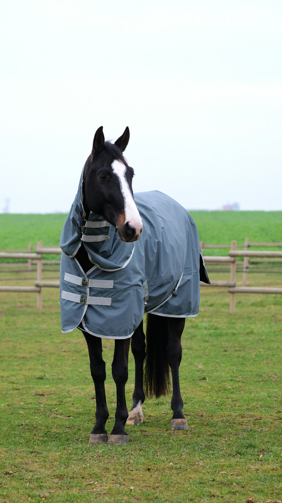 Couvre-cou EQUITHÈME "TYREX 600D", recyclé