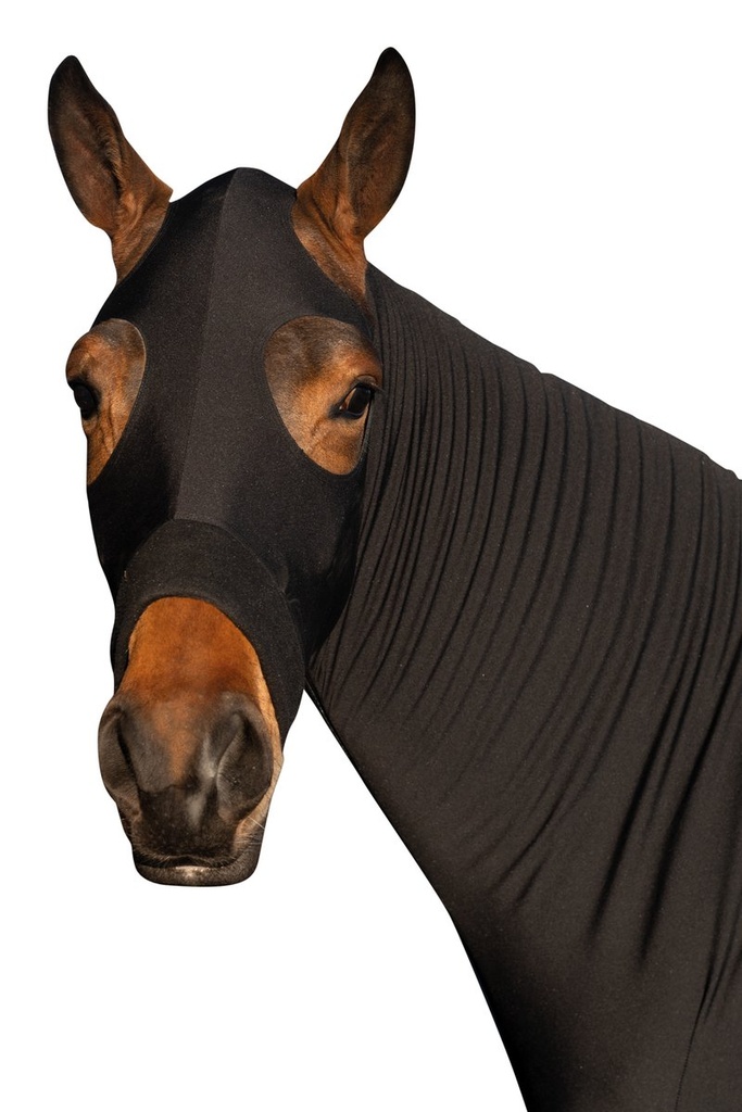 Protection -Sleezy- - Noir (2)