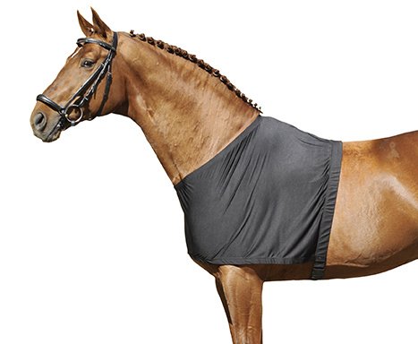 Protection du portrail - Noir