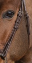Bridon NORTON PRO "Brillant"
