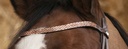 Bridon NORTON PRO "Brillant"