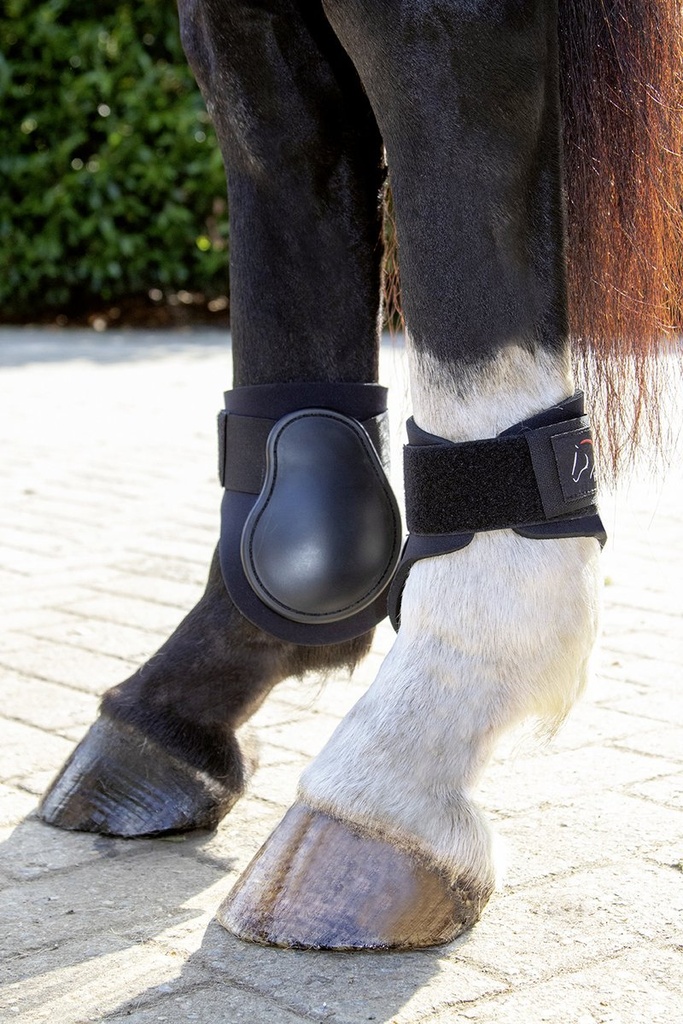 Protèges boulets -HKM Premium- - Noir/noir (2)