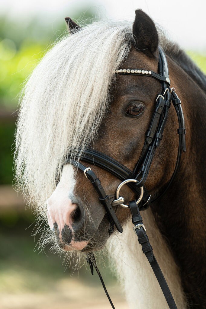 Bridon -Shetty Diamond- - Noir (5)