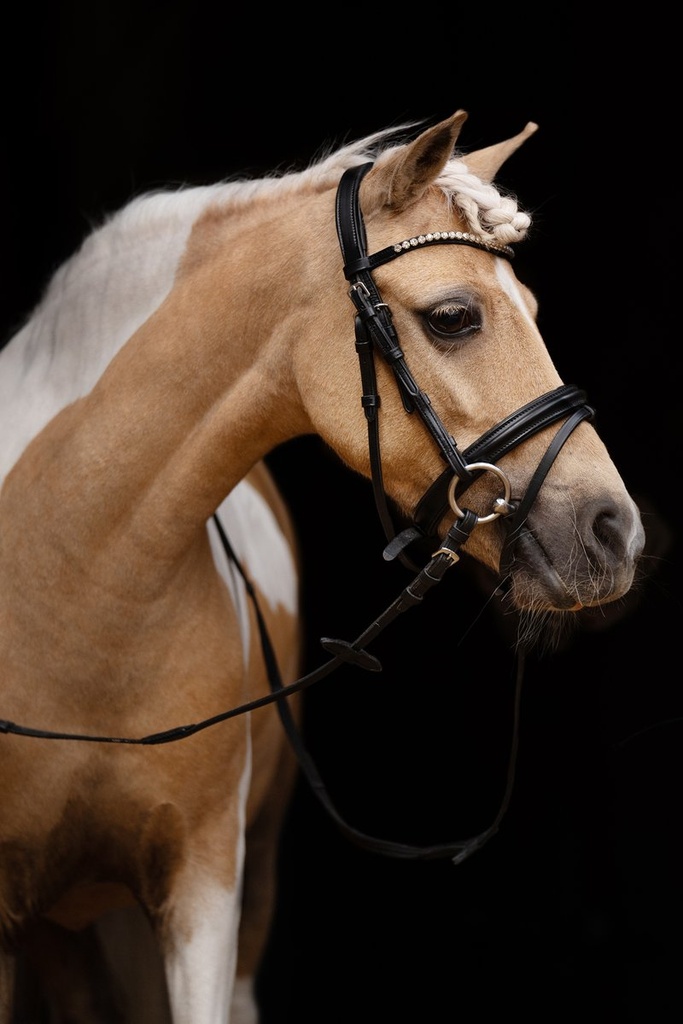 Bridon -Shetty Diamond- - Noir (6)