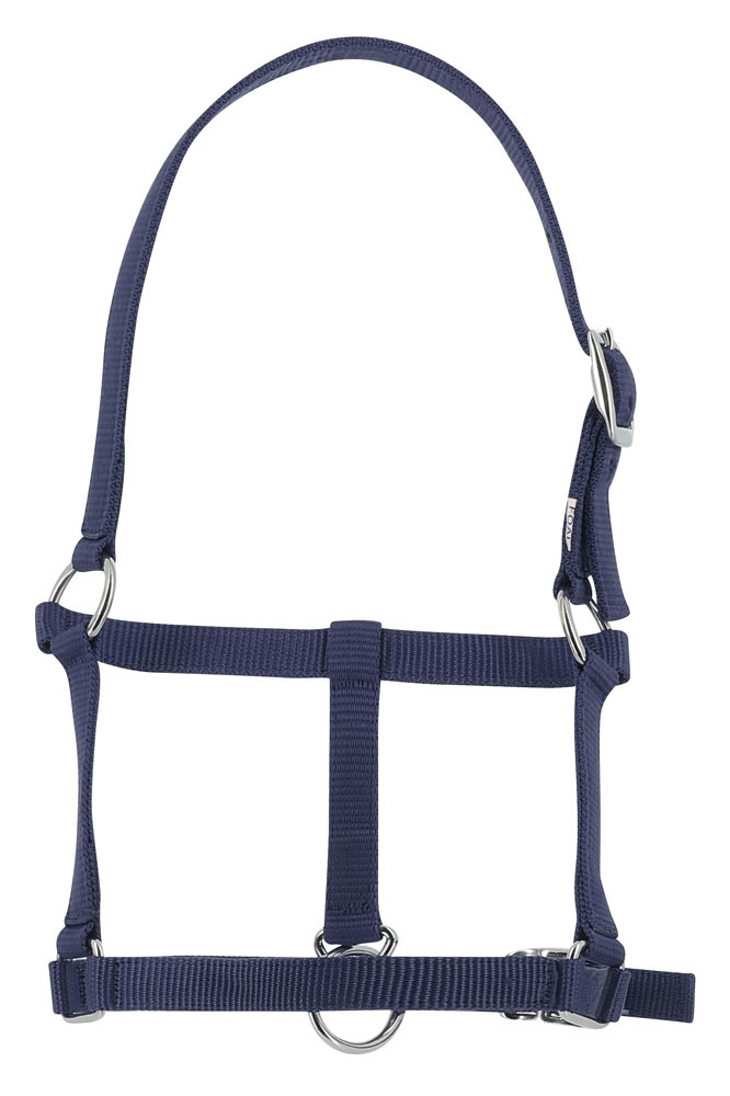 Licol foal RIDING WORLD