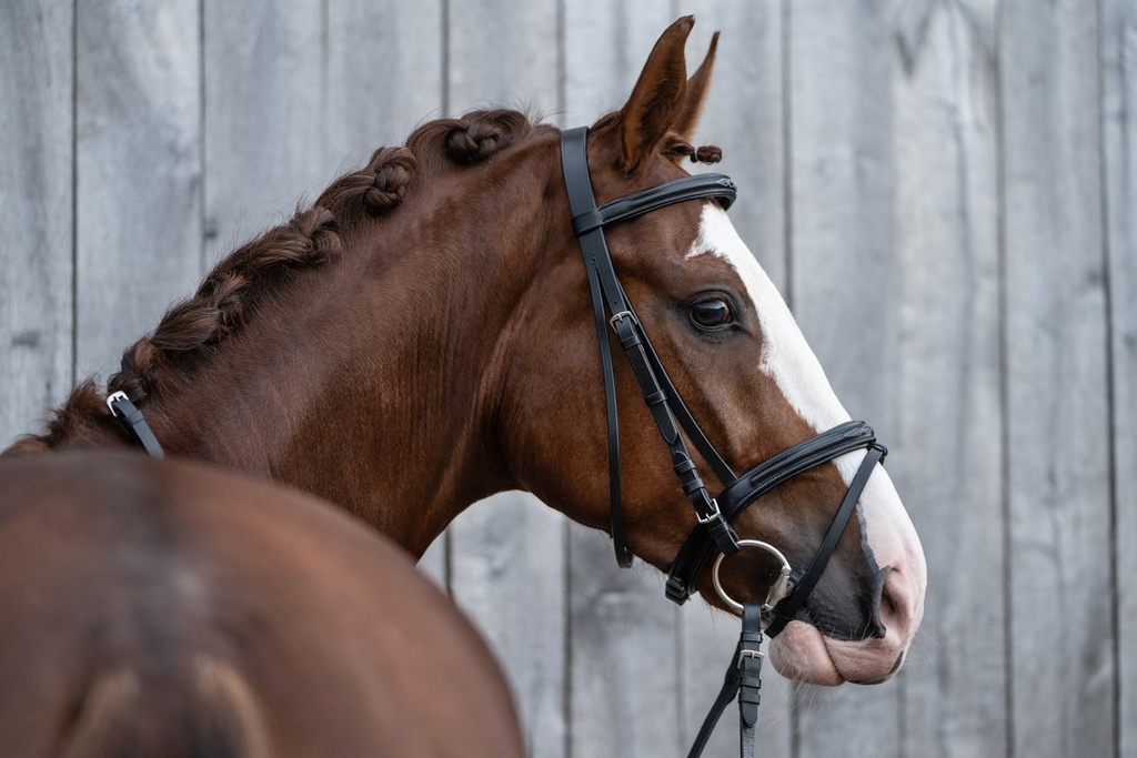 Bridon -Jana- - Noir (4)