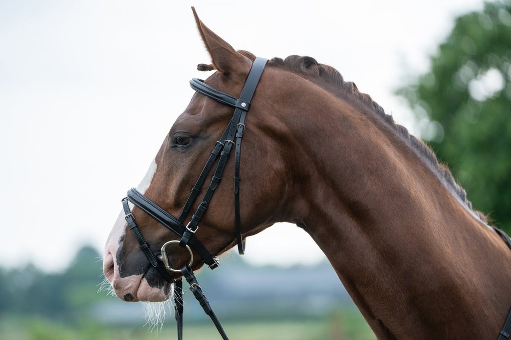 Bridon -Jana- - Noir (5)