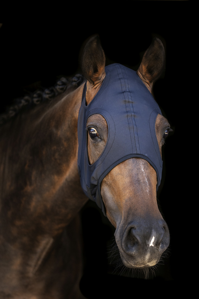 Masque LAMI-CELL "Titanium"