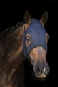 Masque LAMI-CELL "Titanium"