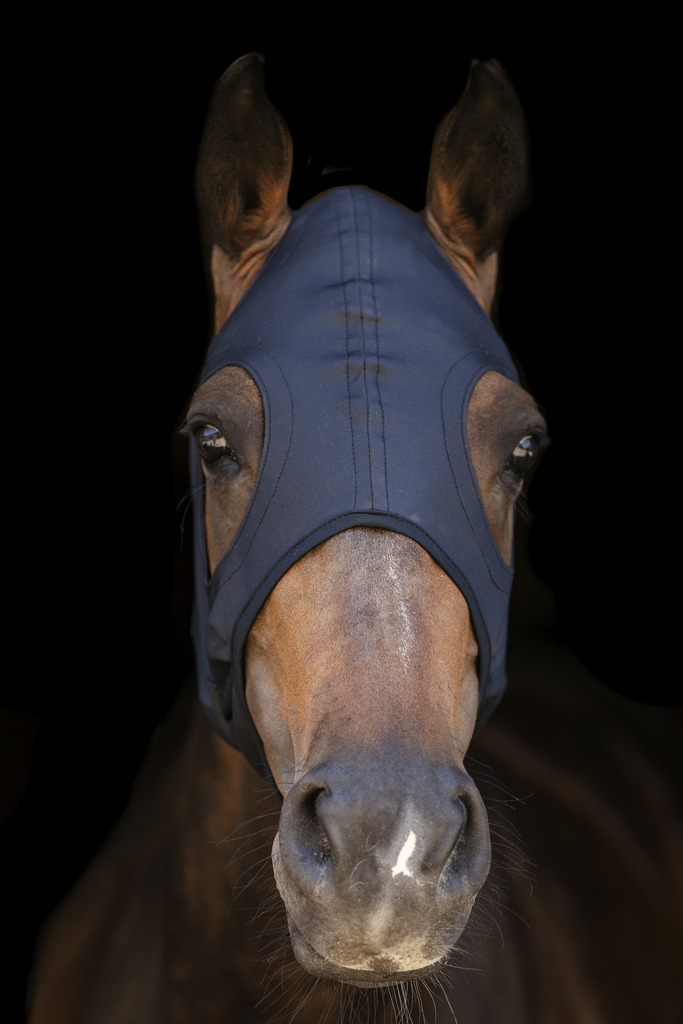 Masque LAMI-CELL "Titanium"