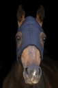 Masque LAMI-CELL "Titanium"