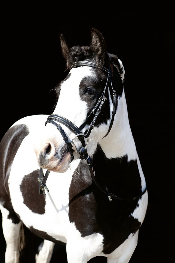 Bridon -Lou- - Noir (3)