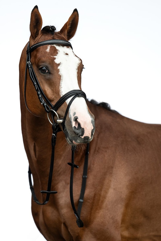 Bridon -Economic- - Noir (2)