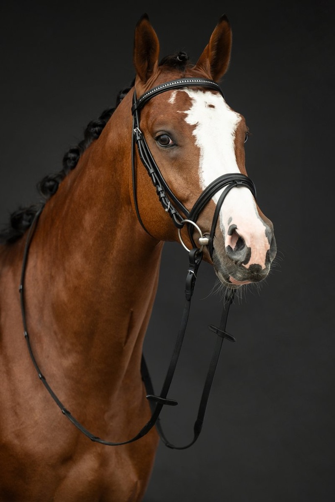 Bridon -Economic- - Noir (7)