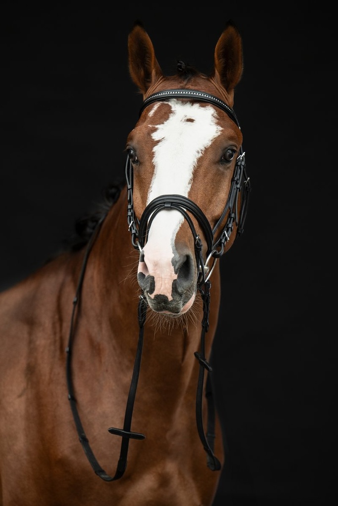 Bridon -Economic- - Noir (8)