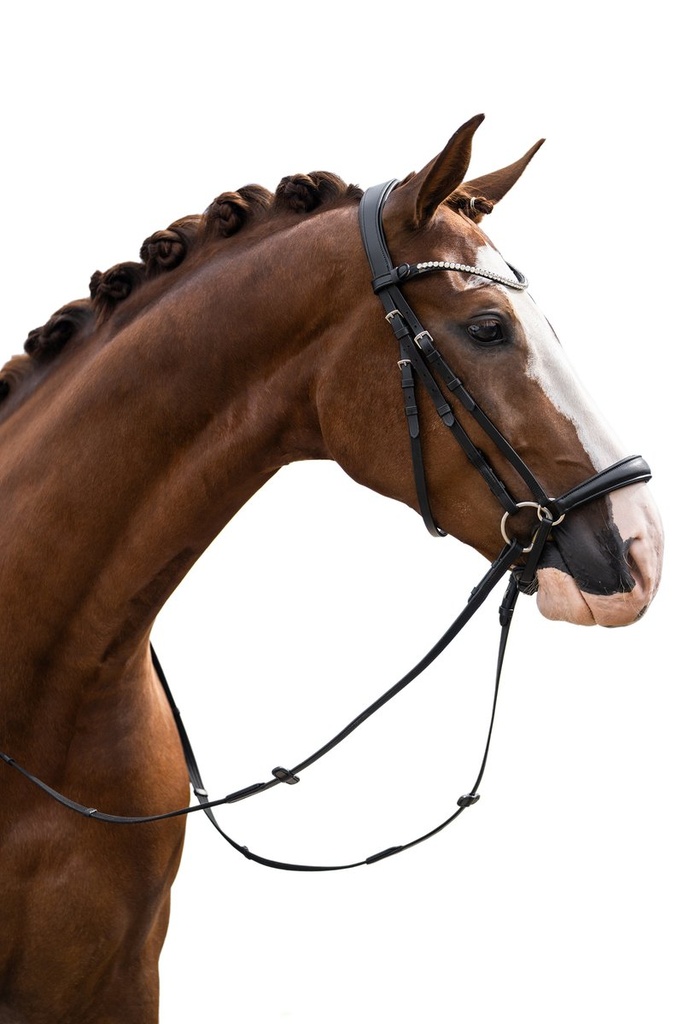 Bridon -Nicole- - Noir (2)