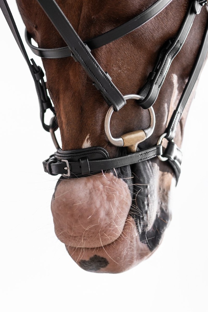 Bridon -Nicole- - Noir (7)