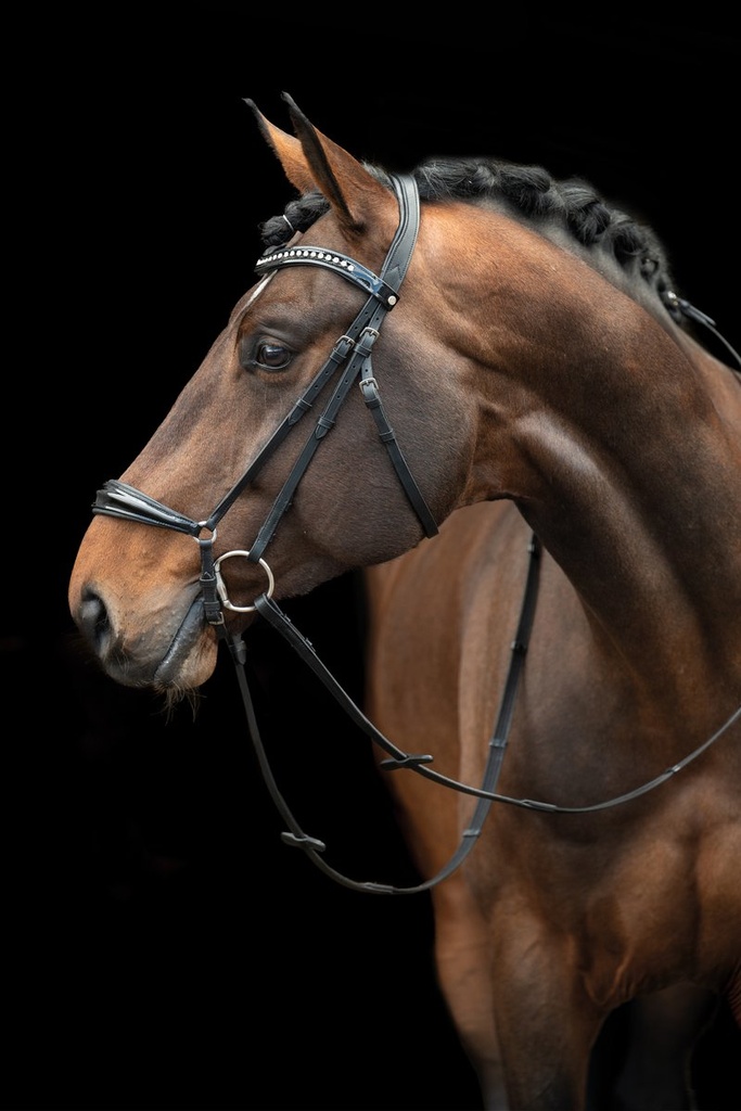 Bridon -Carolin- - Noir (4)