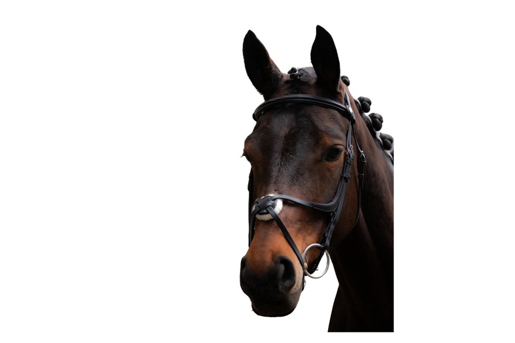 Bridon -Carlos- - Noir/noir (3)