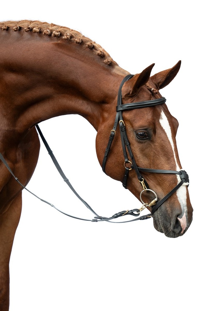 Bridon -Mexican Style- renforc - Noir (2)