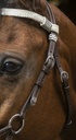 Side Pull NORTON PRO "Tresse"