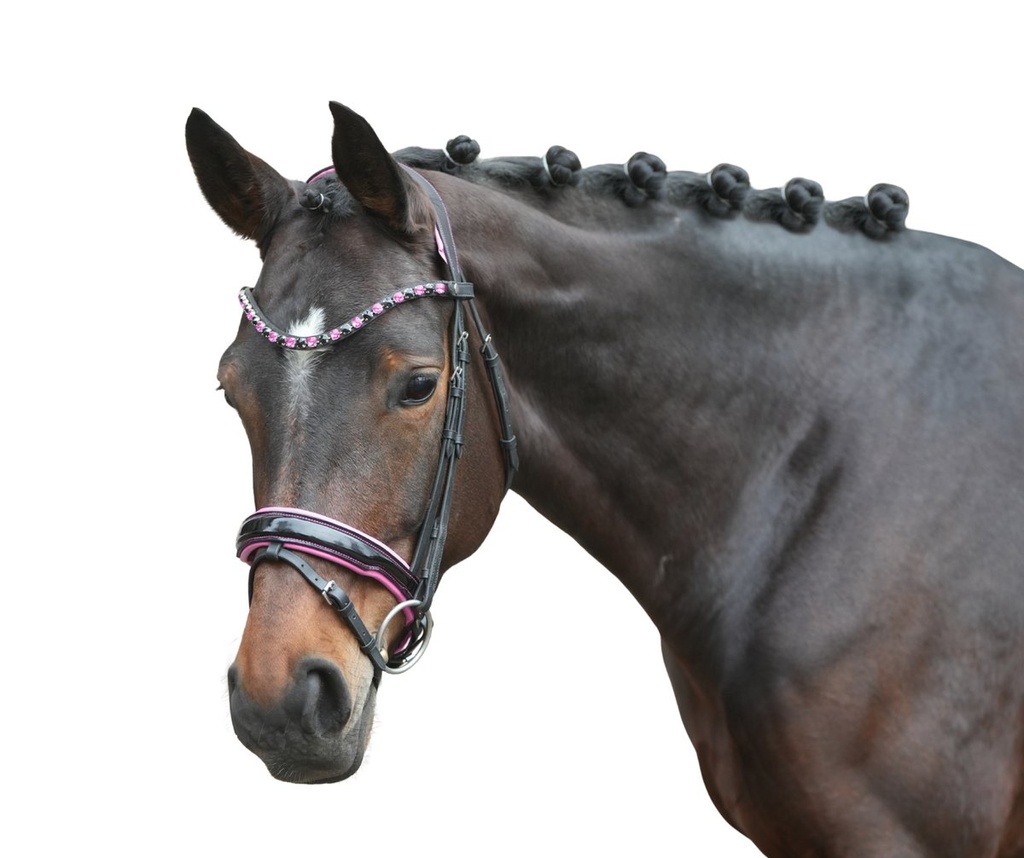 Bridon -Manchester- - Noir/fuchia (2)