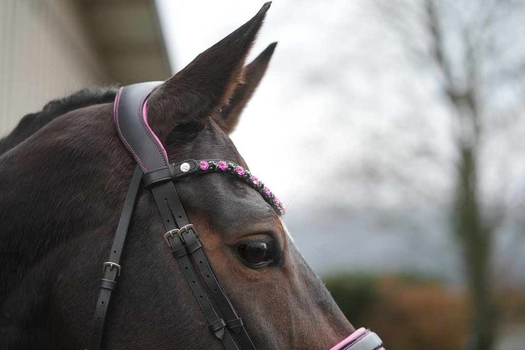 Bridon -Manchester- - Noir/fuchia (3)