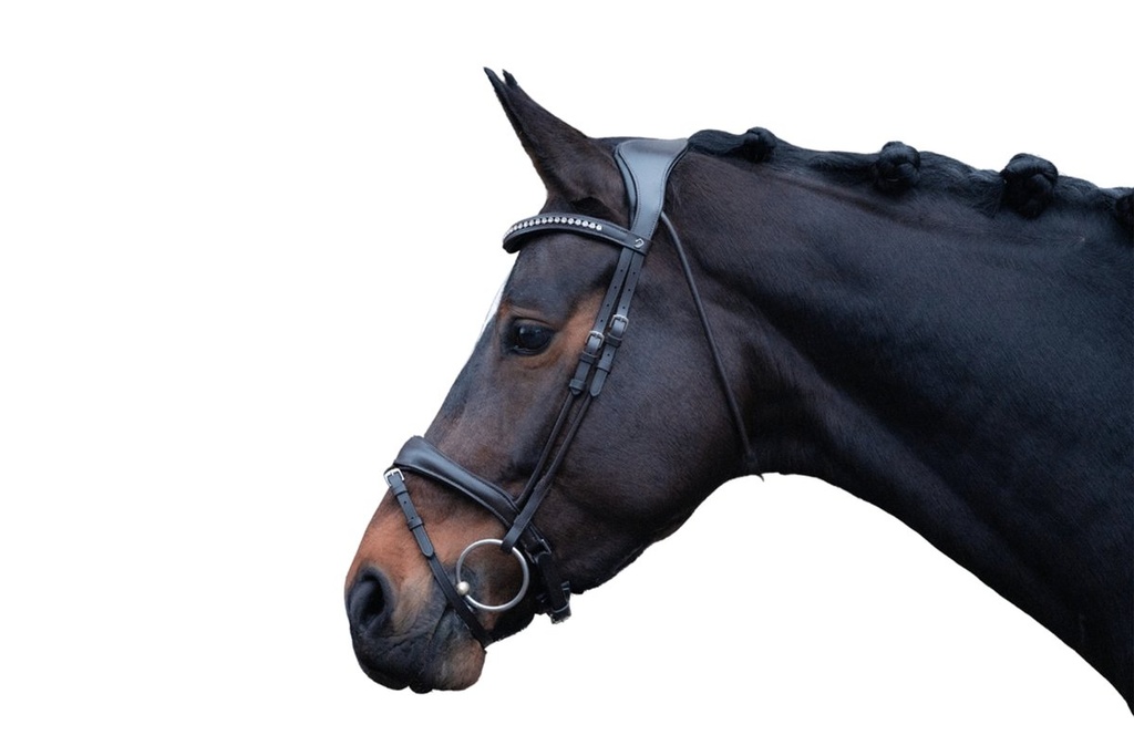 Bridon -Arezzo- - Noir (2)