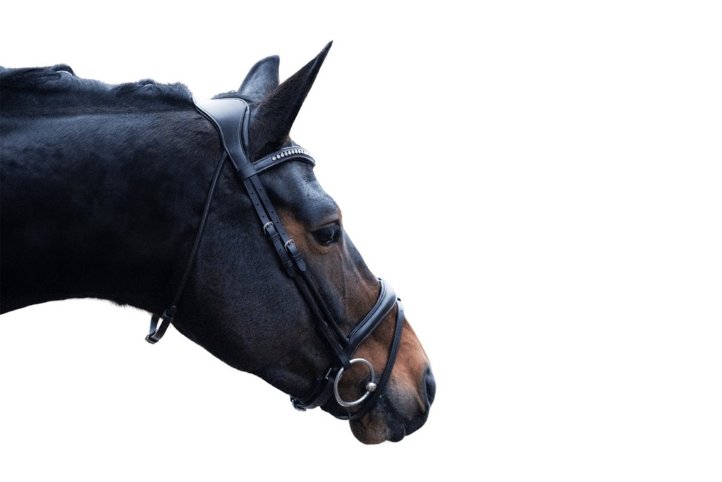 Bridon -Arezzo- - Noir (3)