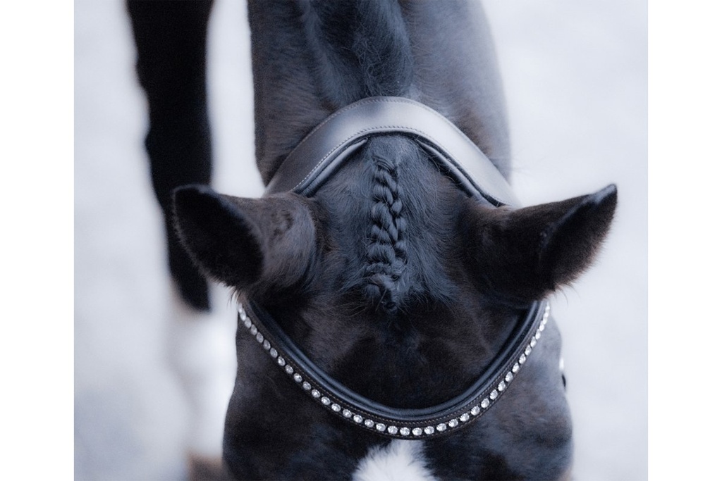 Bridon -Arezzo- - Noir (4)