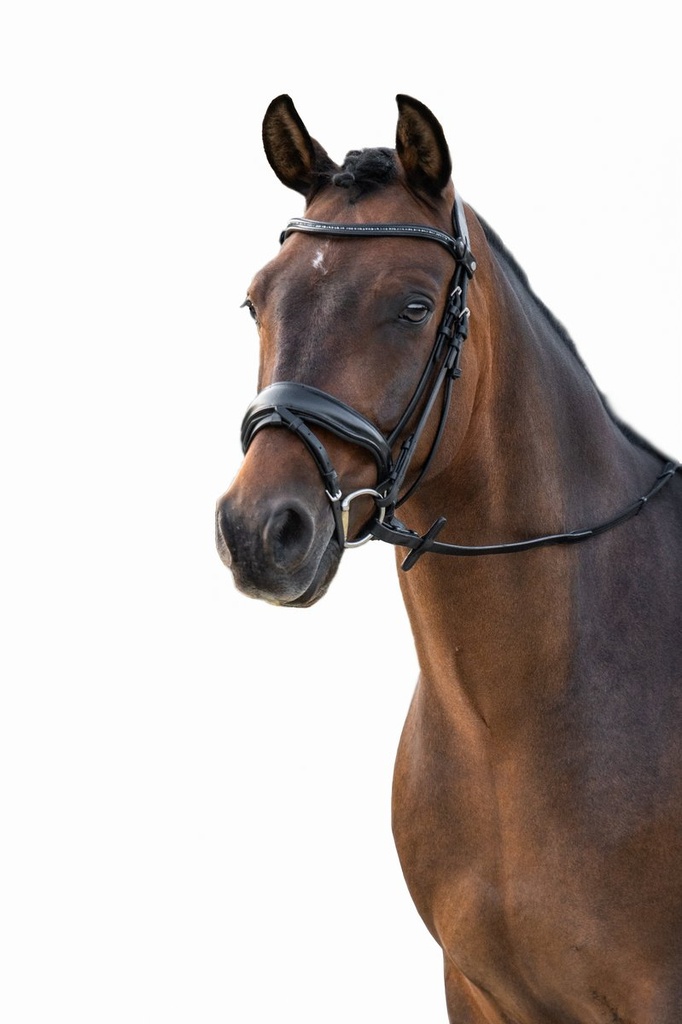 Bridon -Ira- - Noir (2)