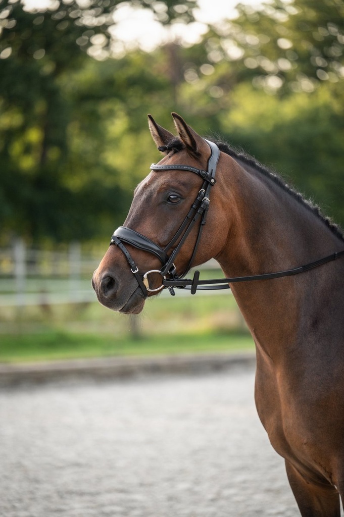 Bridon -Ira- - Noir (3)