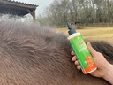 Lotion ANIMADERM DERFEN™ "Clear"