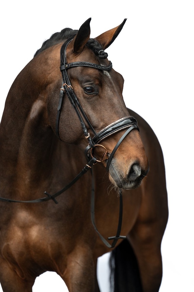 Bridon -Sofia- - Noir/or rose (2)