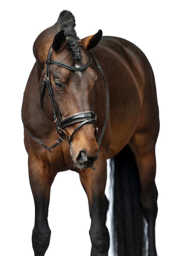 Bridon -Sofia- - Noir/or rose (3)