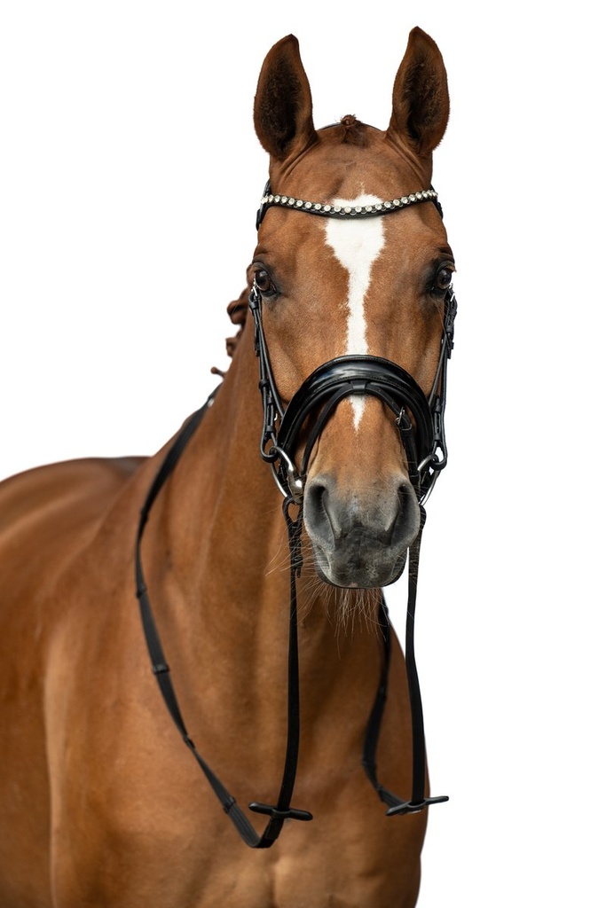 Bridon -Fleur- - Noir (4)