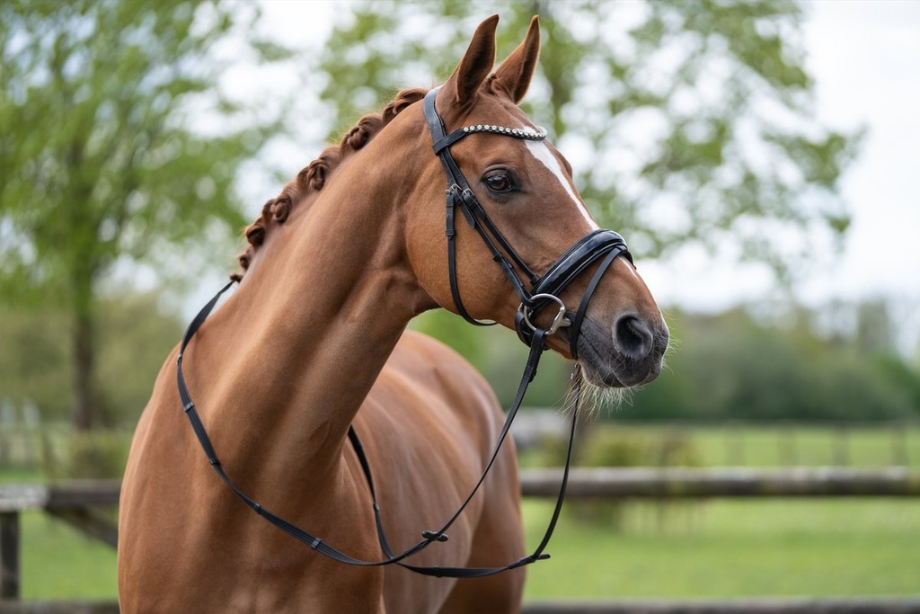 Bridon -Fleur- - Noir (5)