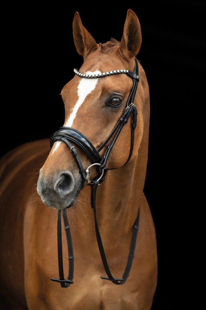 Bridon -Fleur- - Noir (7)