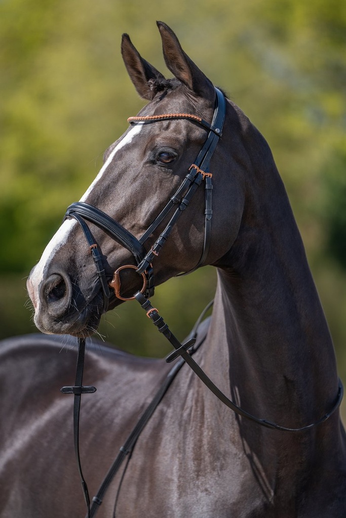 Bridon -Rosegold Glamour- Styl - Noir/or rose (6)