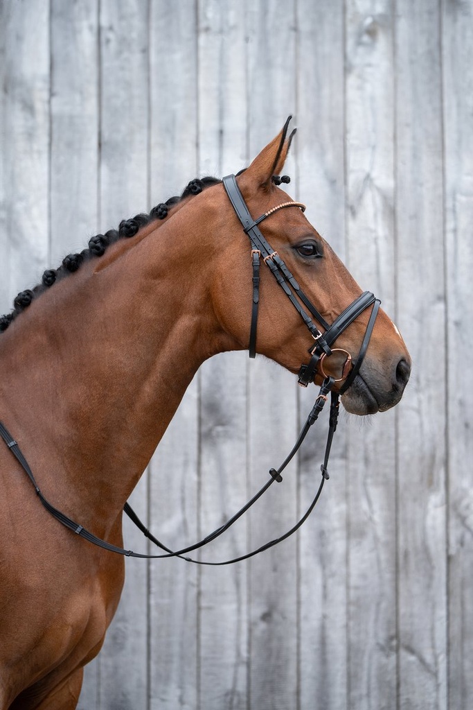 Bridon -Rosegold Glamour- Styl - Noir/or rose (7)