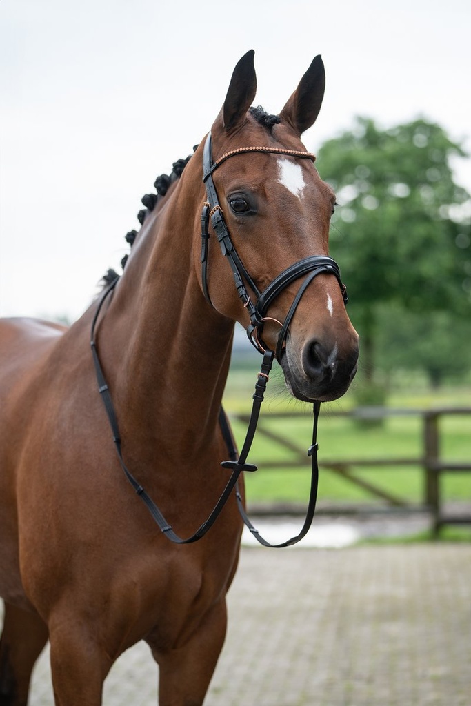 Bridon -Rosegold Glamour- Styl - Noir/or rose (8)