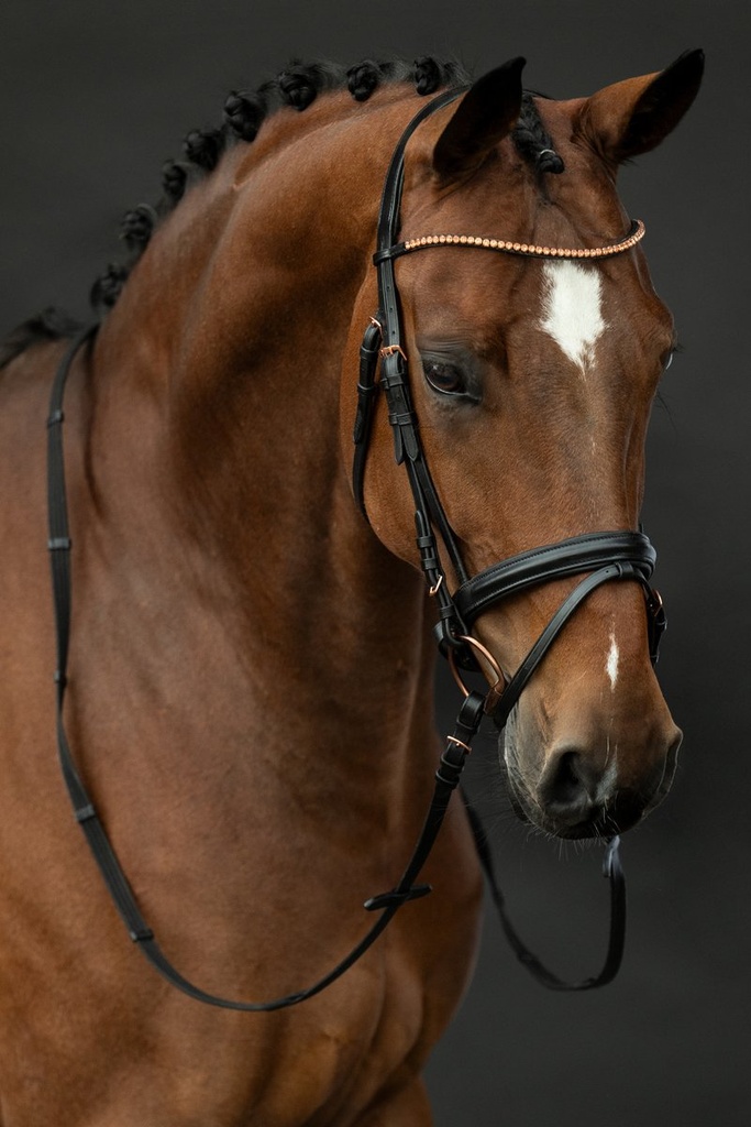 Bridon -Rosegold Glamour- Styl - Noir/or rose (10)