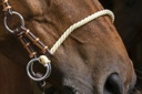 Side-pull NORTON PRO "Corde"