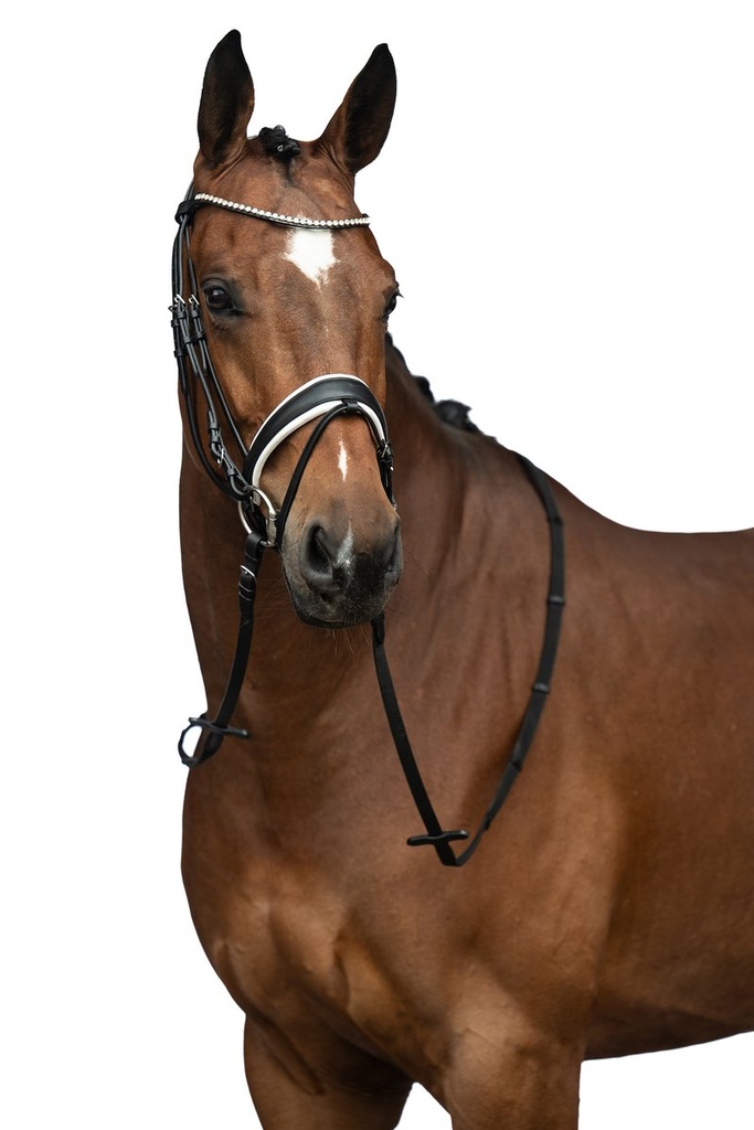 Bridon -Flora- - Noir (2)