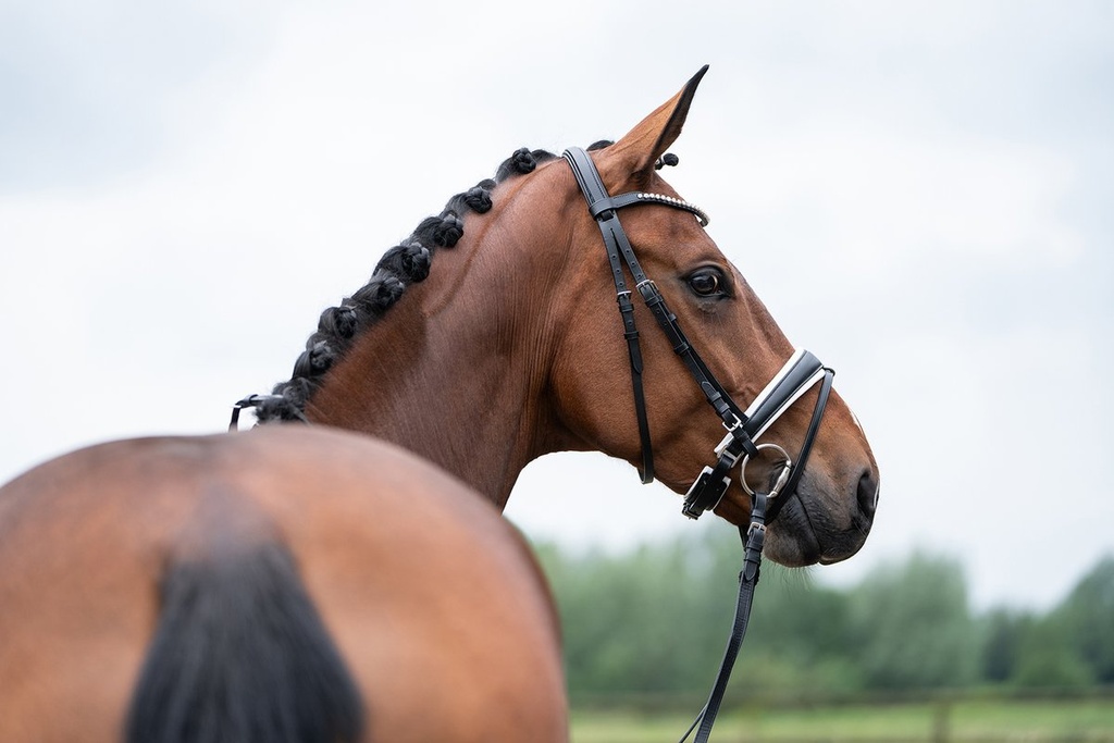 Bridon -Flora- - Noir (4)