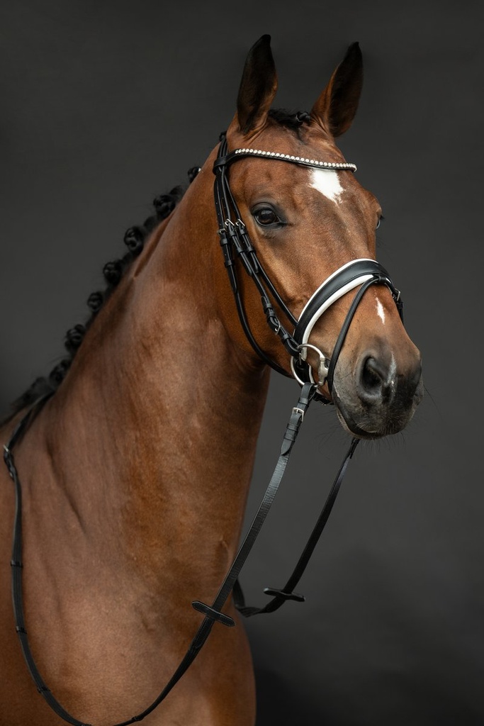 Bridon -Flora- - Noir (5)